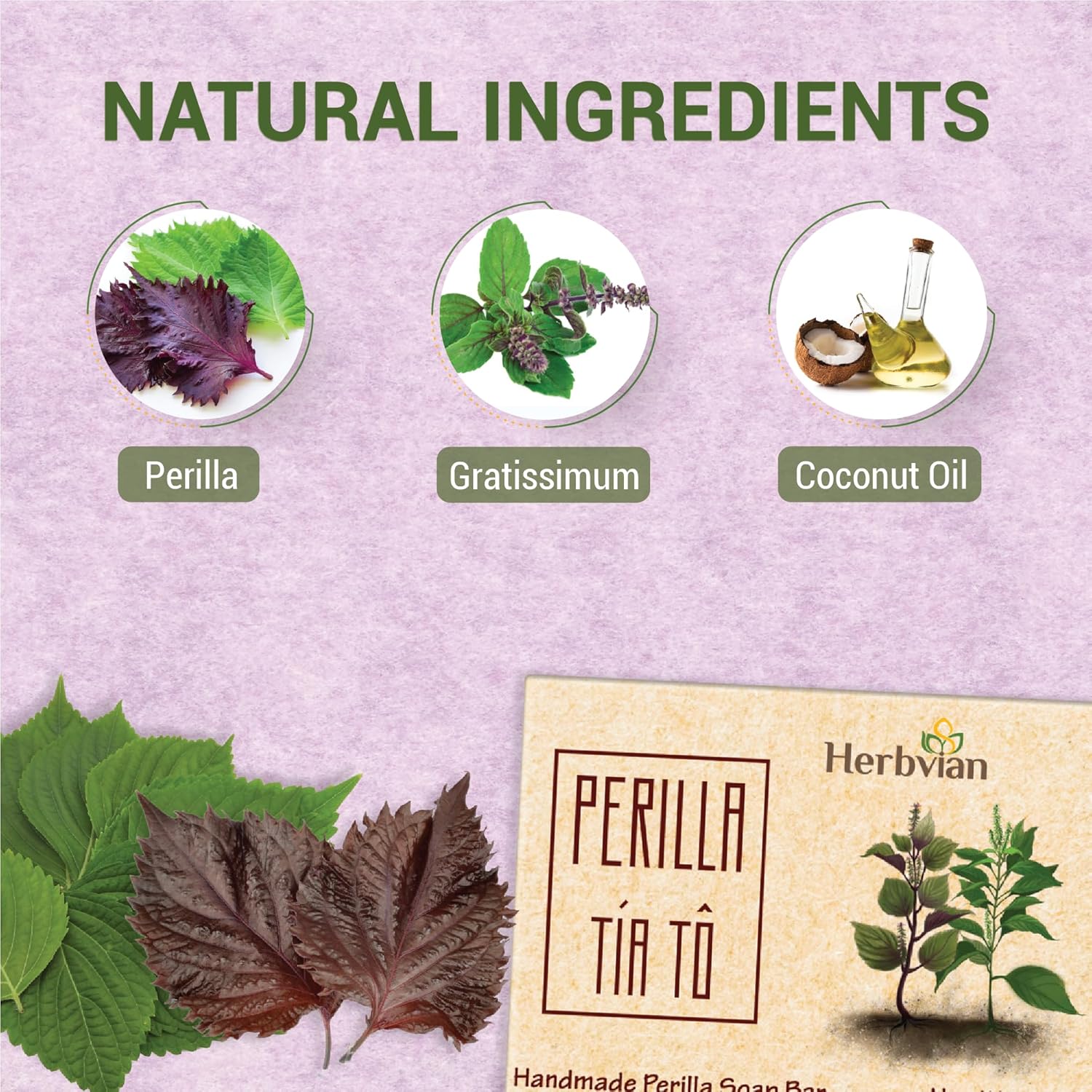 Perilla Natural Soap with Holy Basil Essential Oil (2 bars/pack)