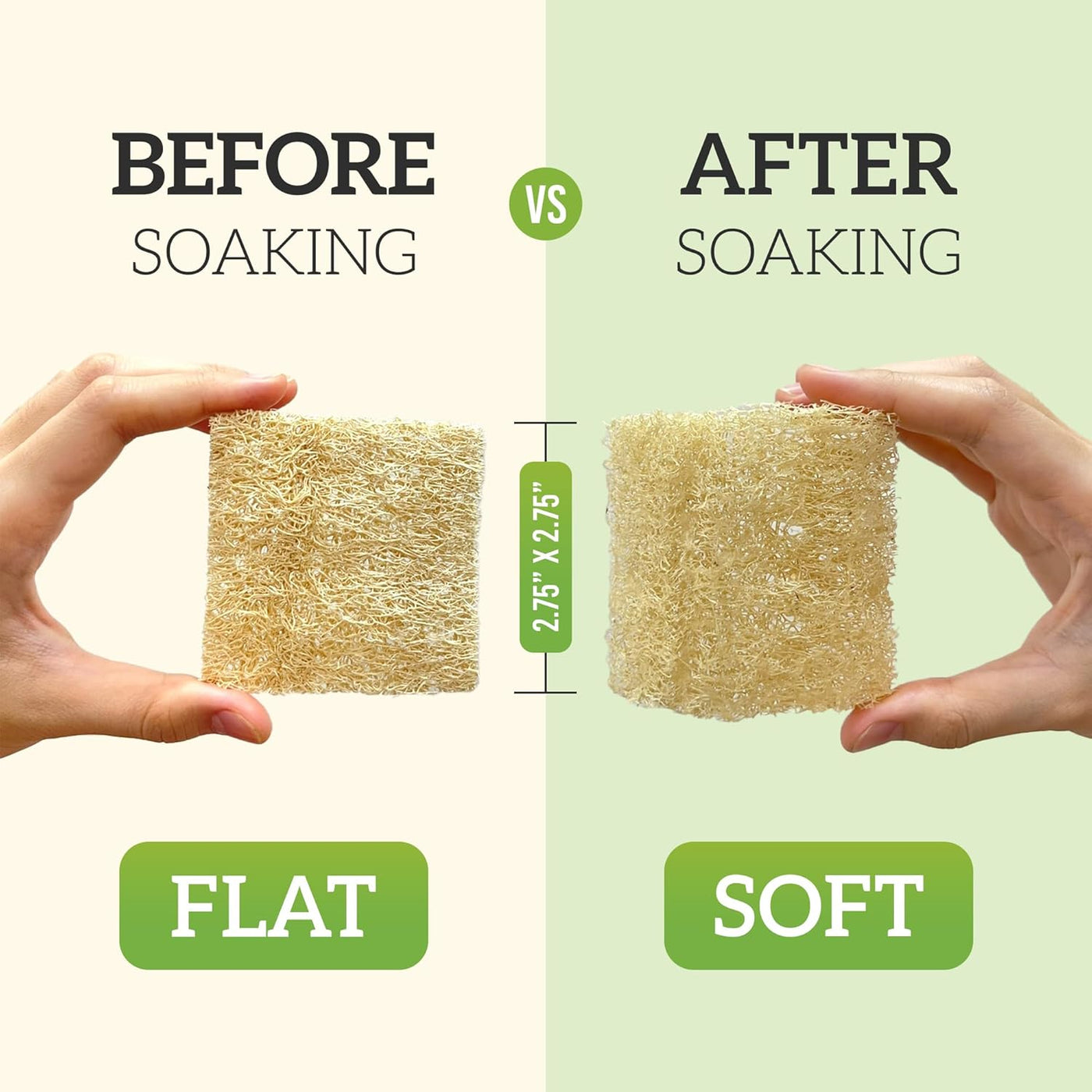 Natural Loofah Dish Sponge Multipurpose 100% Biodegradable