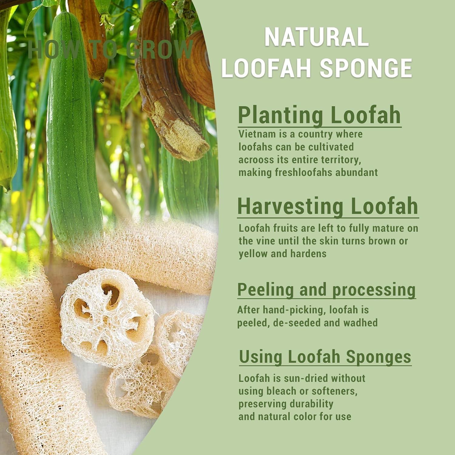 Natural Loofah Dish & Kitchen Sponges
