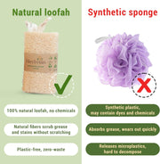 4pcs Multi-purpose Natural Whole Gourd Loofah