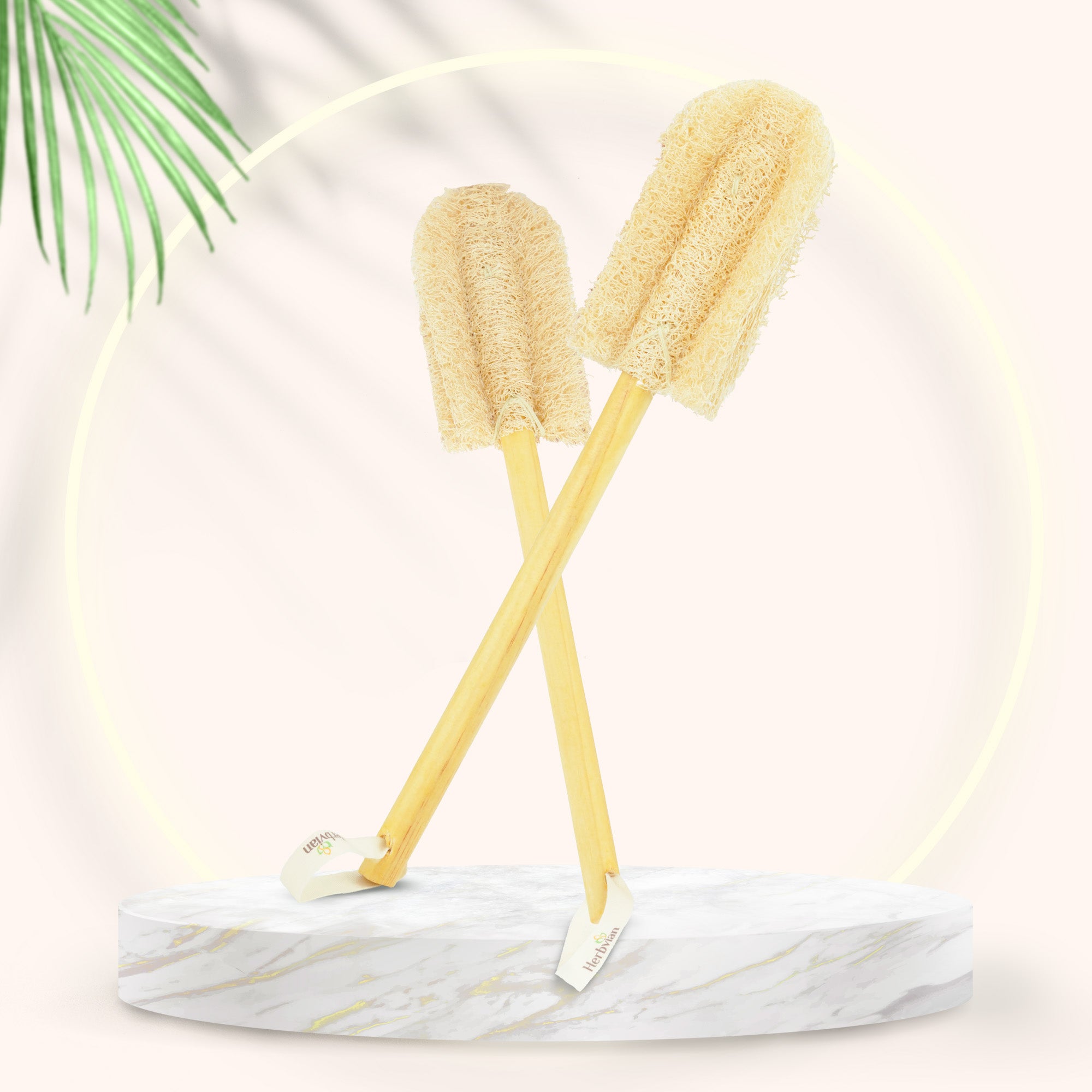 Natural Loofah Bottle Brush with Wooden Handle