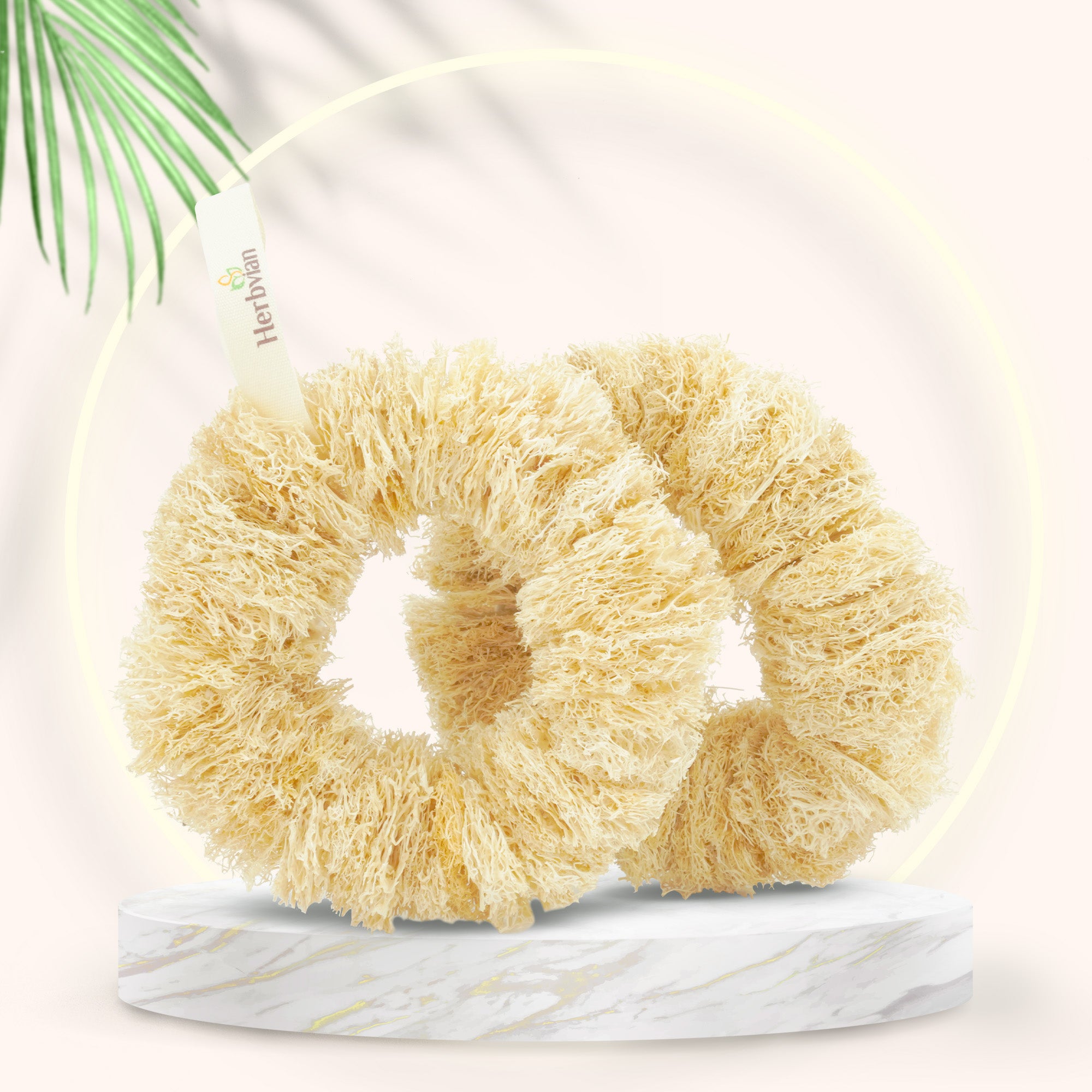 Heavy-Duty Loofah Donut Scrubber