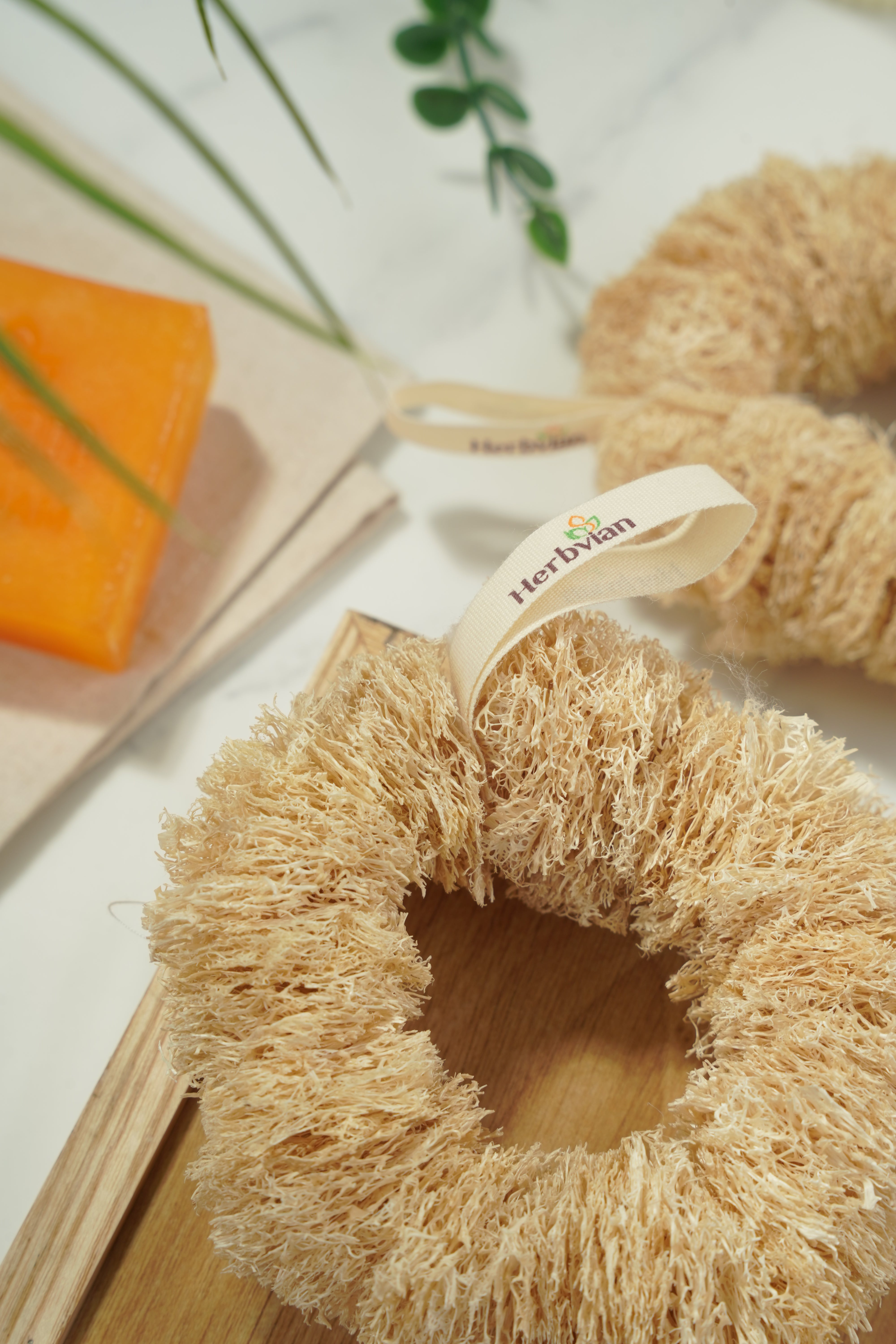 Heavy-Duty Loofah Donut Scrubber