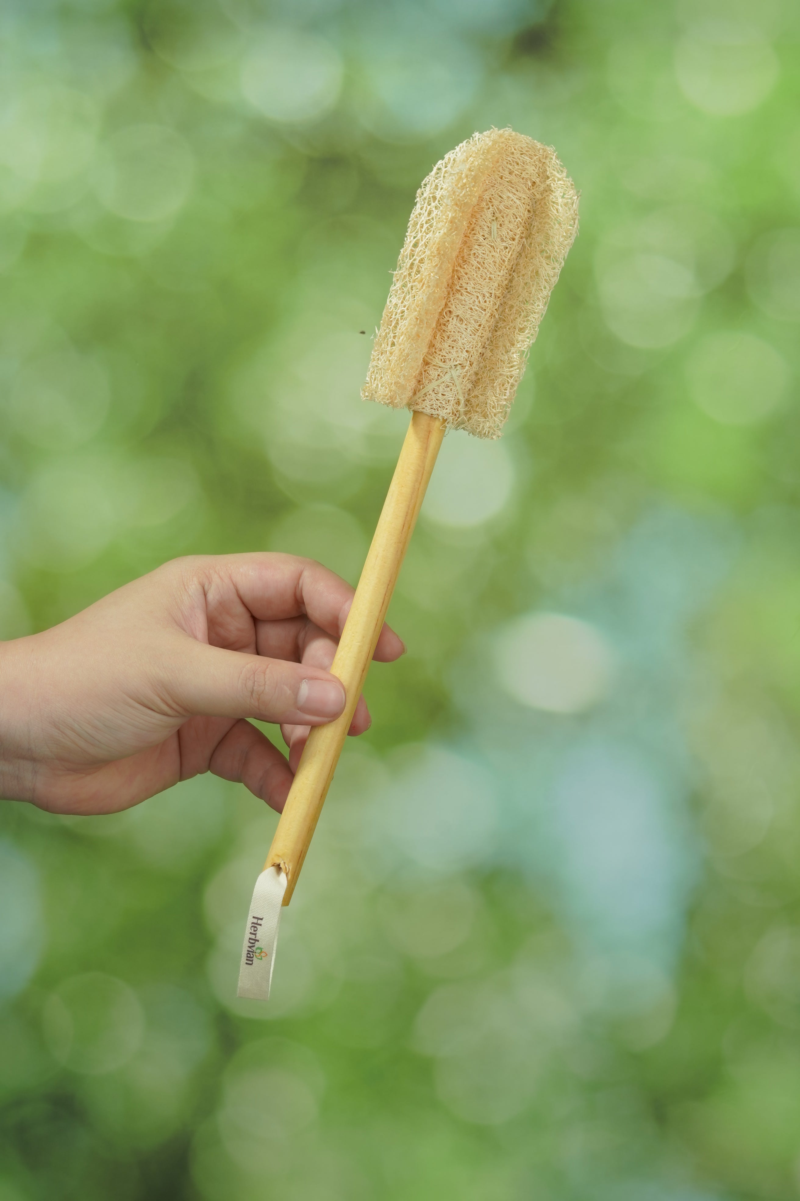 Natural Loofah Bottle Brush with Wooden Handle