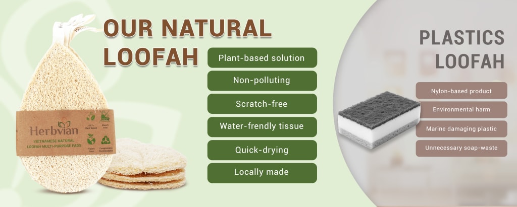 4pcs Natural Loofah Scrubbing Pads for Kitchen