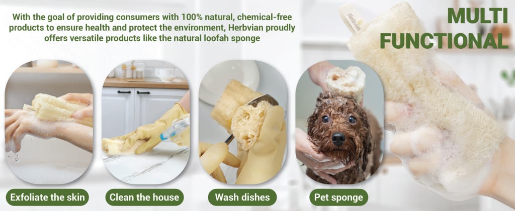 4pcs Natural Vietnamese Loofah Sponge