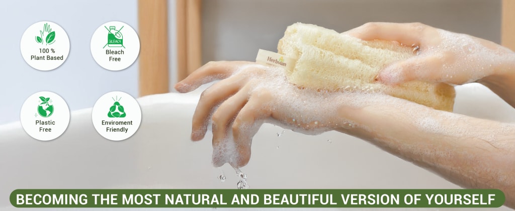 4pcs Natural Vietnamese Loofah Sponge