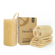 4pcs Multi-purpose Natural Whole Gourd Loofah