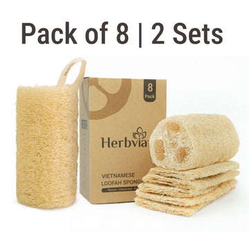 Multi-purpose Natural Whole Gourd Loofah - Pack of 8